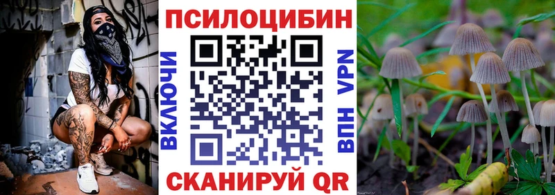 Купить  Суровикино  Псилоцибиновые грибы Magic Shrooms 